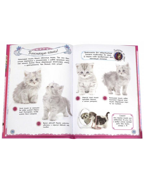 Какие лапочки! Котята