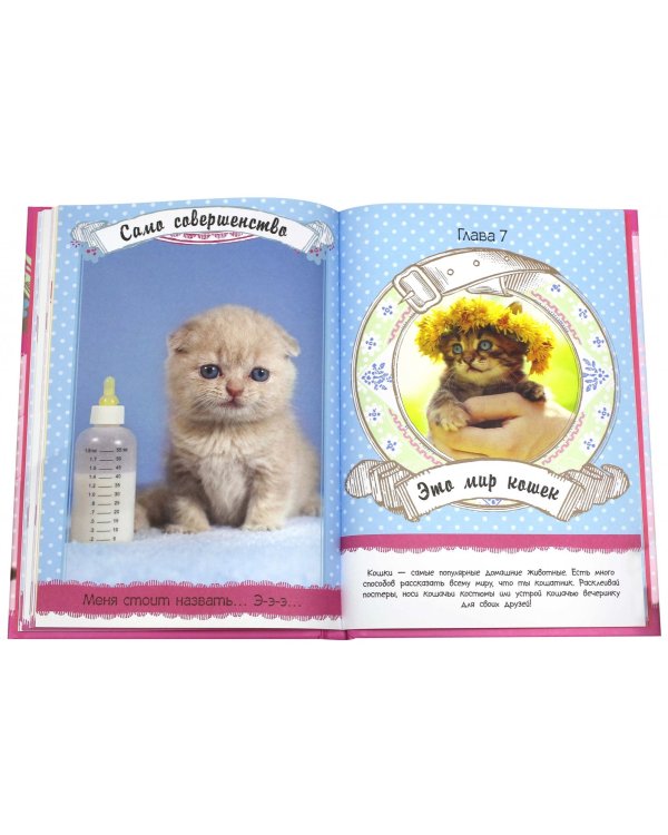 Какие лапочки! Котята