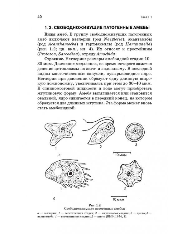 Медицинская паразитология