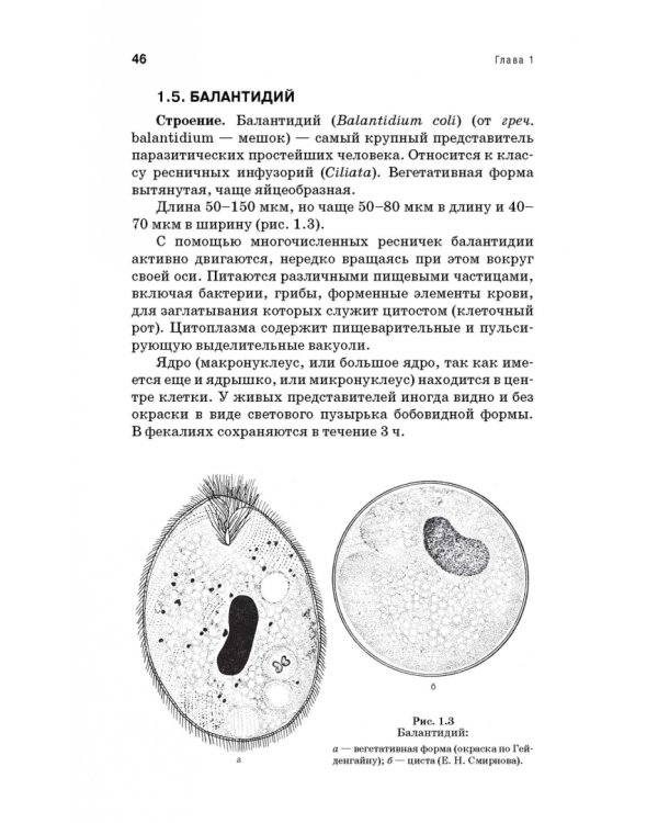 Медицинская паразитология