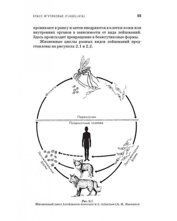 Медицинская паразитология