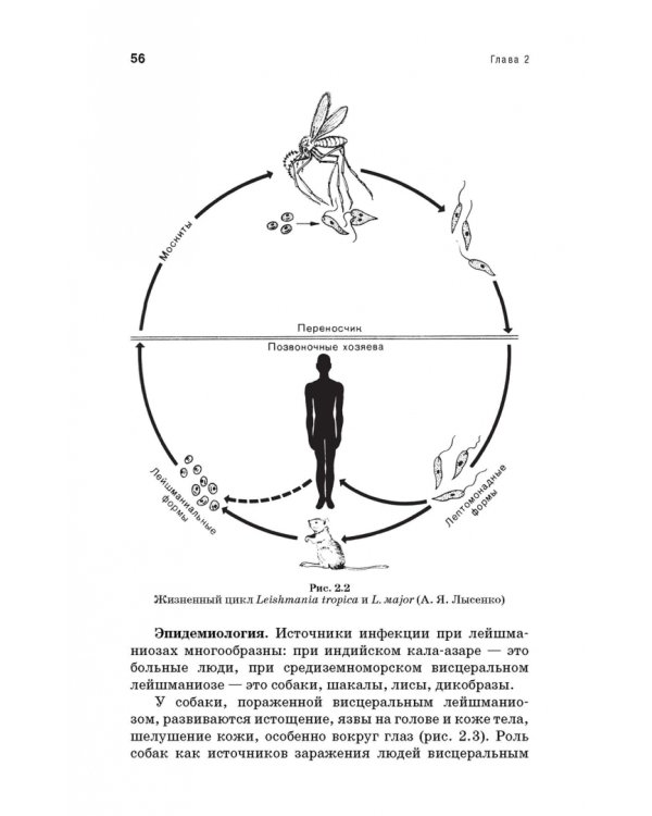 Медицинская паразитология