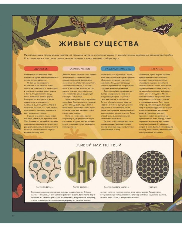 Мир природы. Иллюстрированный сборник удивительных фактов