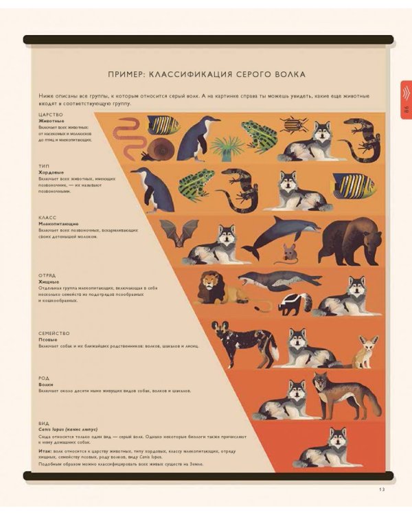 Мир природы. Иллюстрированный сборник удивительных фактов