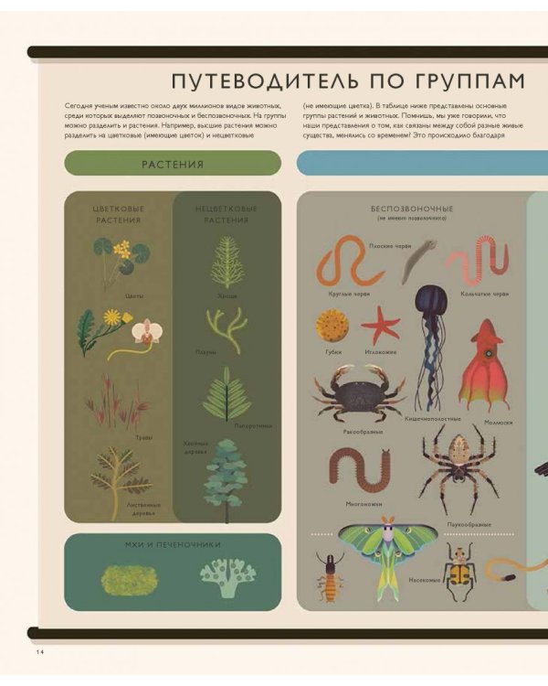 Мир природы. Иллюстрированный сборник удивительных фактов