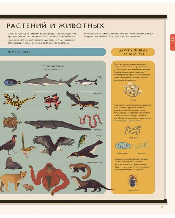 Мир природы. Иллюстрированный сборник удивительных фактов