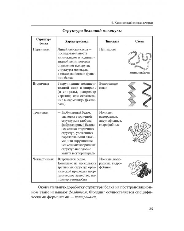 ЕГЭ Биология. Раздел «Молекулярная биология». Теория, тренировочные задания