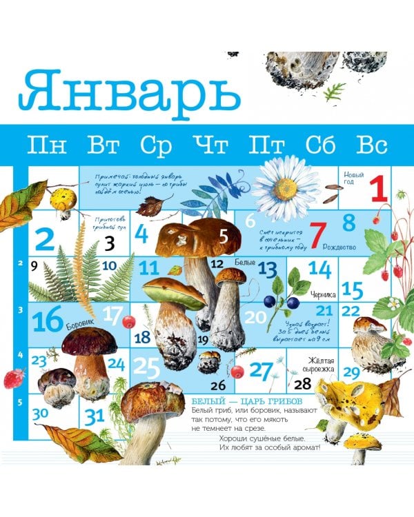 Грибы. Календарь на 2023 год