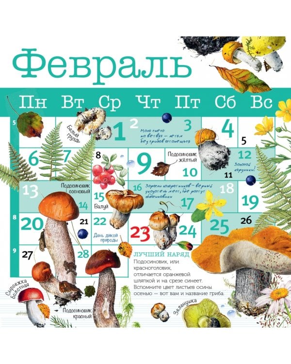 Грибы. Календарь на 2023 год