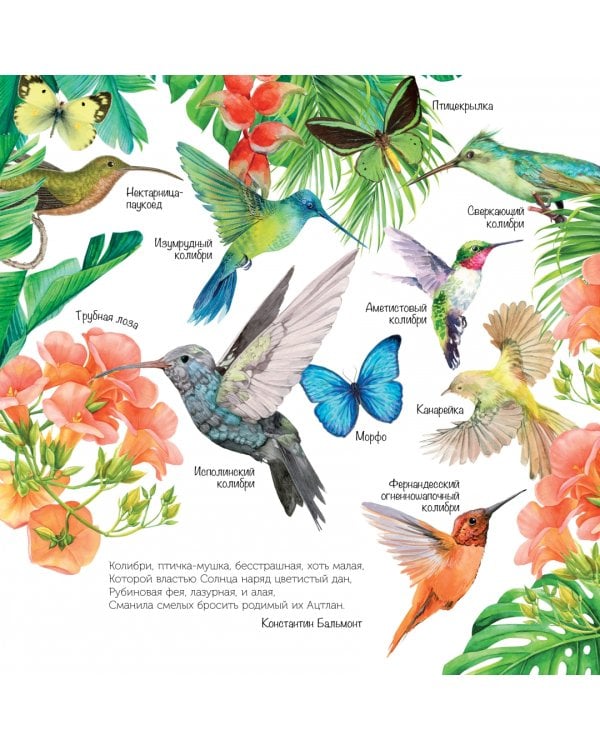 Птицы мира. Календарь для детей с голосами птиц 2023 год