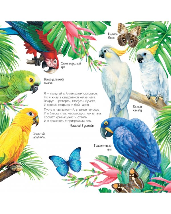 Птицы мира. Календарь для детей с голосами птиц 2023 год