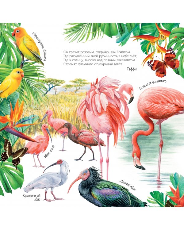 Птицы мира. Календарь для детей с голосами птиц 2023 год