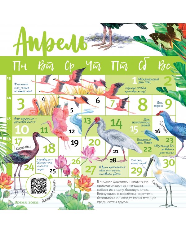 Птицы мира. Календарь для детей с голосами птиц 2023 год