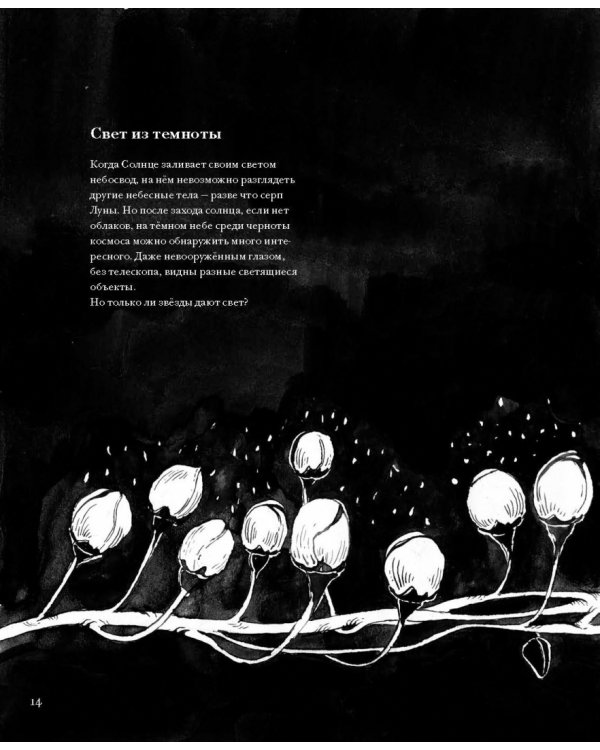 Ночь. Книга о сне и тайнах темноты