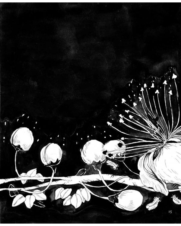 Ночь. Книга о сне и тайнах темноты