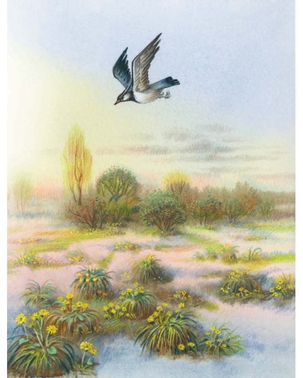 Стихи детям