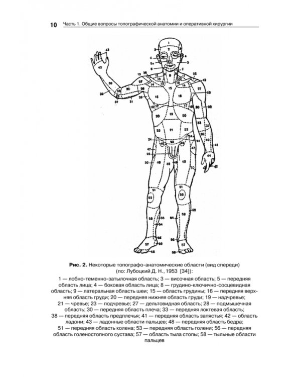 Оперативная хирургия и топографическая анатомия. Учебник для вузов