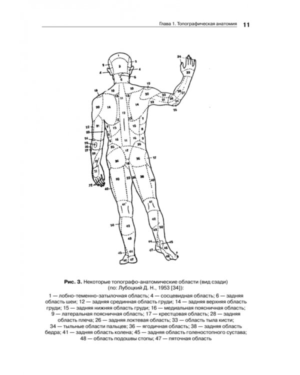 Оперативная хирургия и топографическая анатомия. Учебник для вузов
