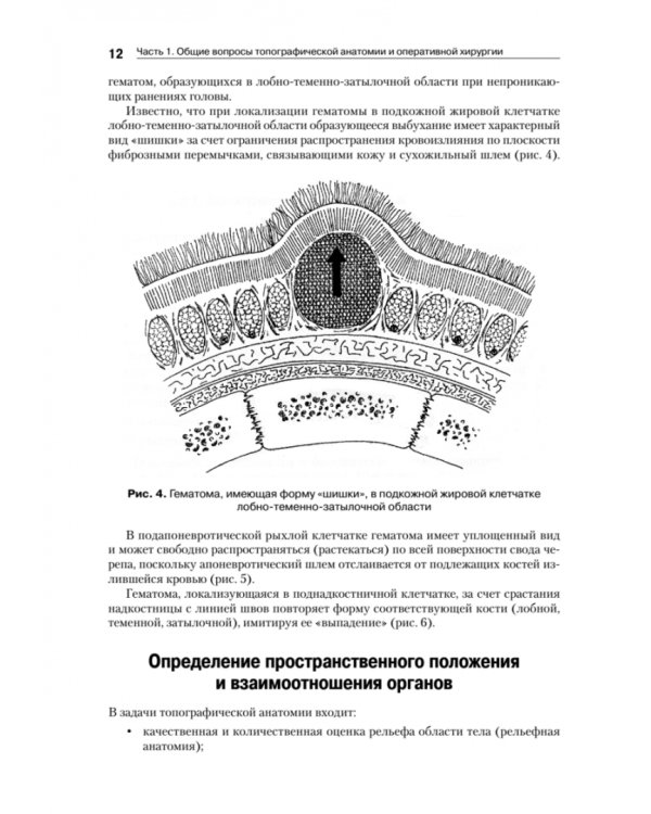 Оперативная хирургия и топографическая анатомия. Учебник для вузов