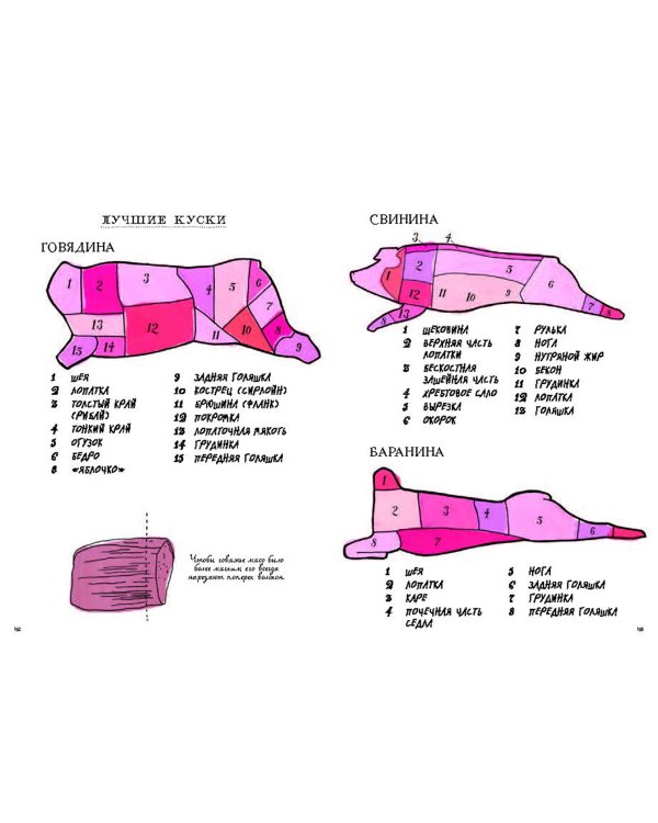Анатомия еды. Занимательное едоведение
