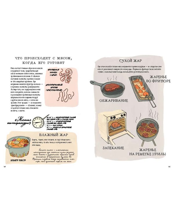 Анатомия еды. Занимательное едоведение