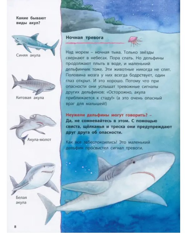 Дельфинчик и его морские соседи. Познавательные истории