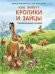 Как живут кролики и зайцы. Познавательные истории