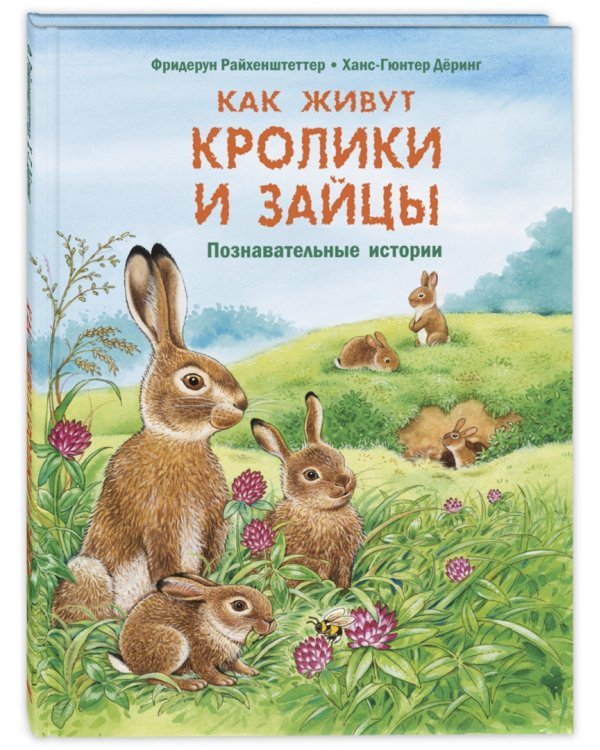 Как живут кролики и зайцы. Познавательные истории