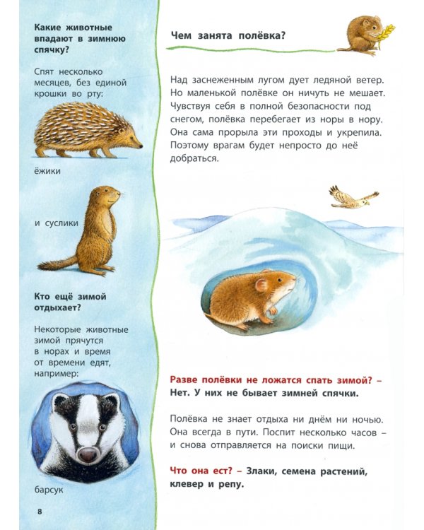 Кроты и другие подземные жители. Познавательные истории