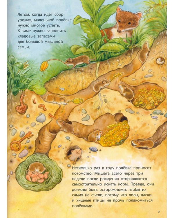 Кроты и другие подземные жители. Познавательные истории