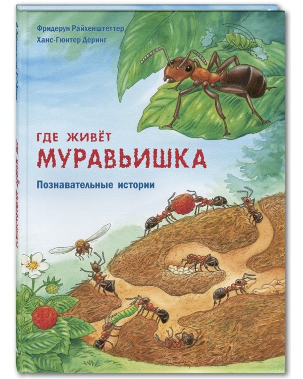 Где живёт муравьишка. Познавательные истории