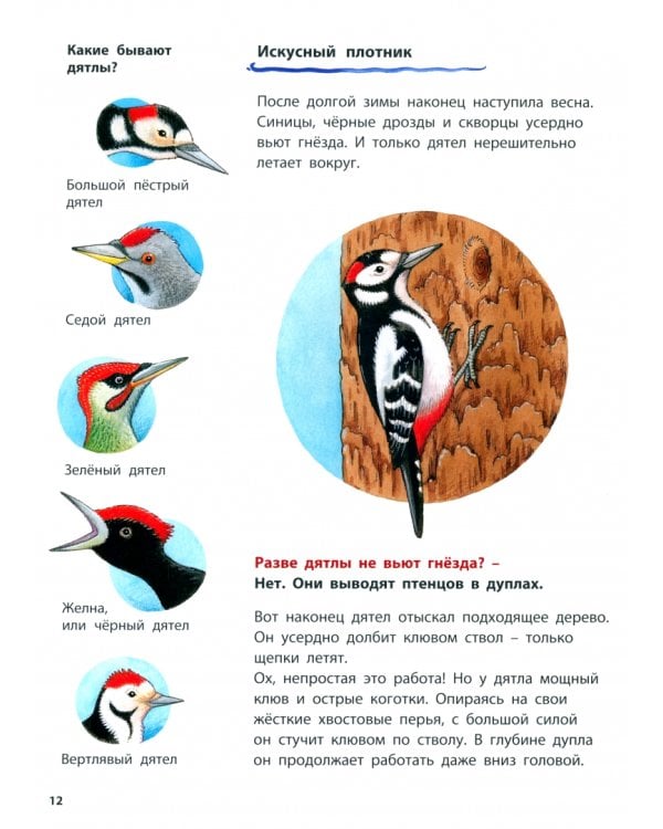 Животные-строители. Познавательные истории