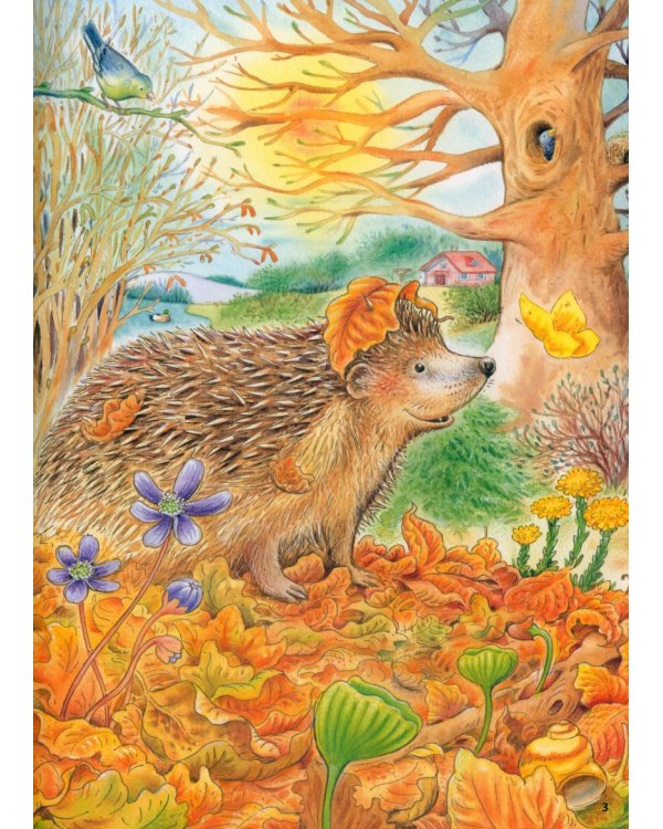 Как живут ёжики. Познавательные истории