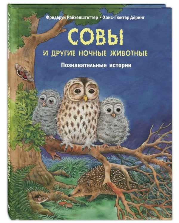 Совы и другие ночные животные. Познавательные истории
