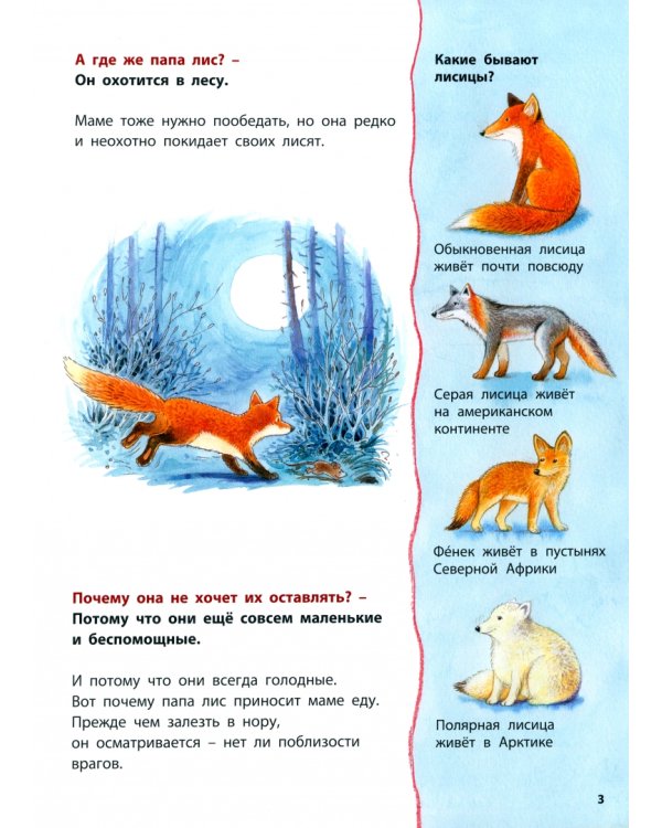 Лисёнок и другие звери в лесу. Познавательные истории