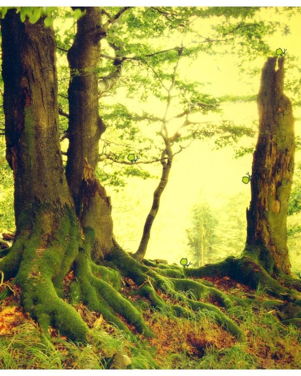 Посмотри, как я могу! Чудеса животного мира