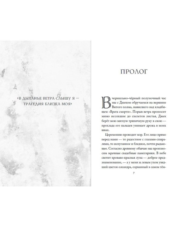 Кошмар перед Рождеством. Салли и похититель грёз