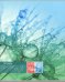 Тетрадь общая "Капли росы" (96 листов, линия, А5) (С2553-37)