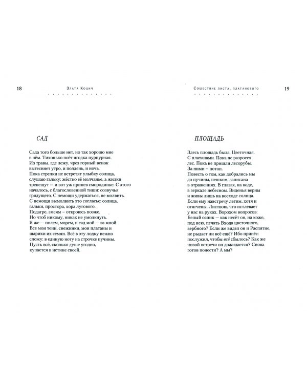 Белый ослик