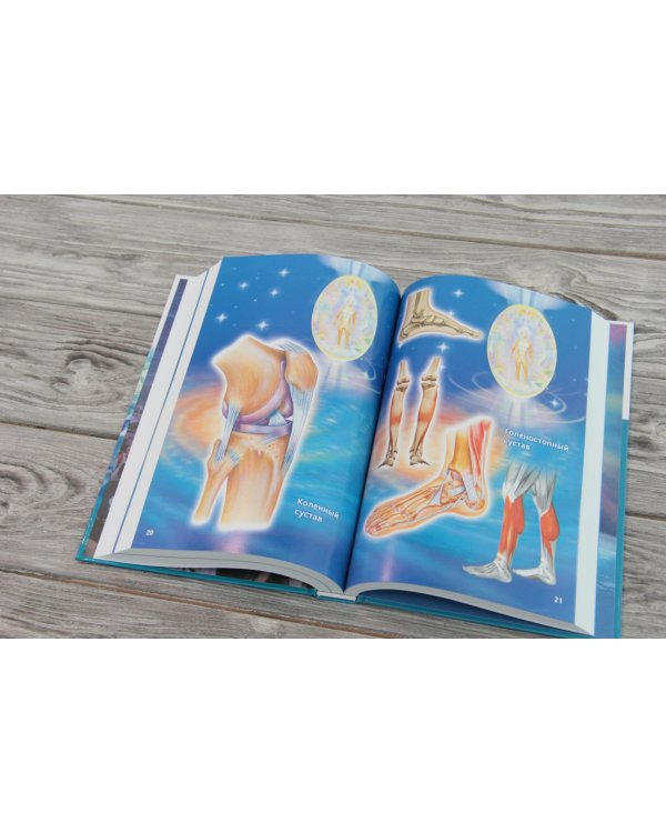 Опорно-двигательная система