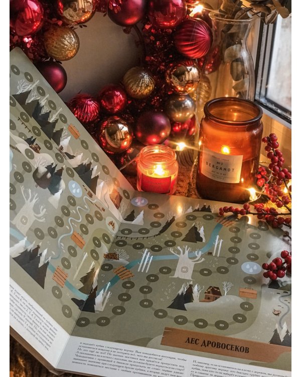 Зимняя книга волшебных игр. Восемь настольных игр, которые перенесут вас в новогоднюю сказку