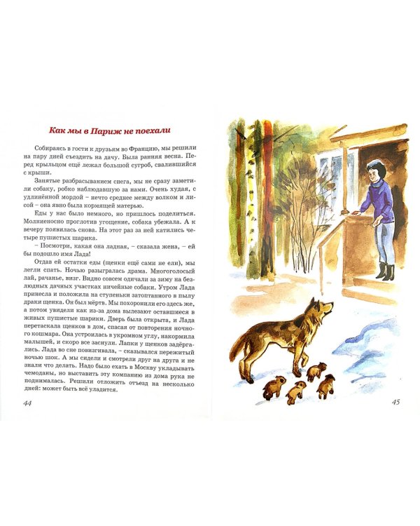 Собаки - мои друзья