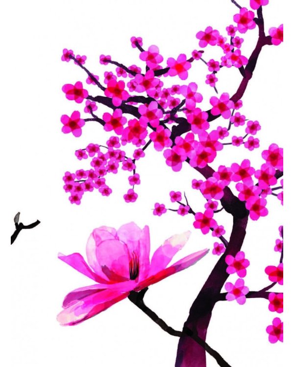 Акварельное вдохновение. 500 наклеек для создания неповторимых картин