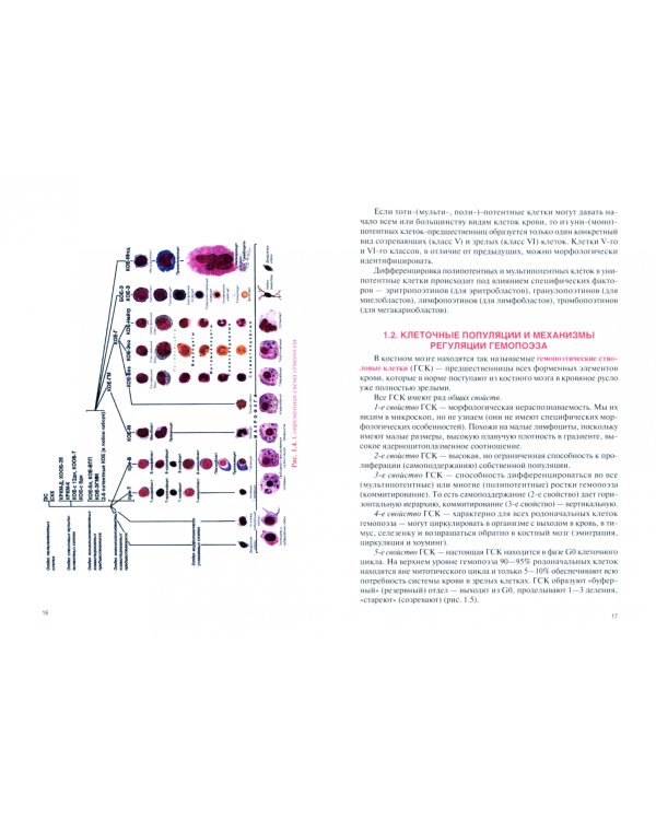 Гематология. Учебник