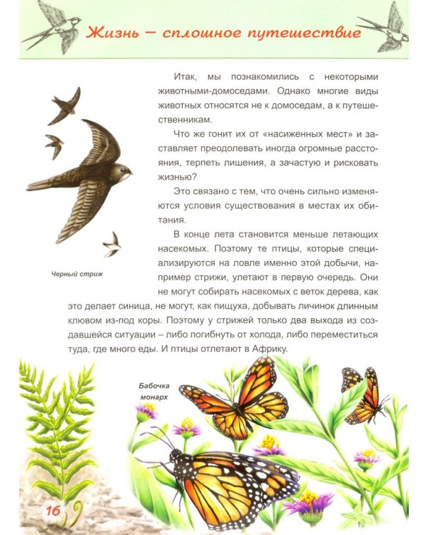 Домоседы и странники. Занимательная зоология