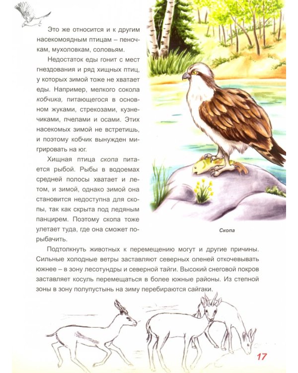 Домоседы и странники. Занимательная зоология