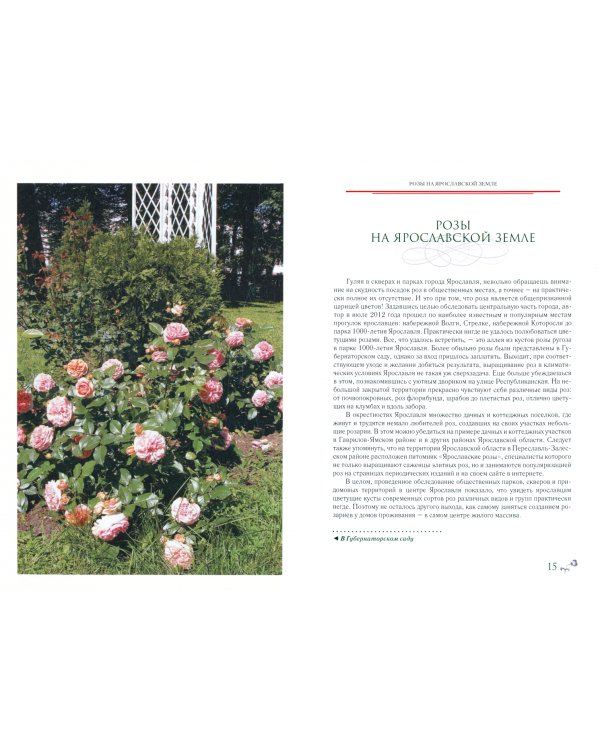 Розы у дома