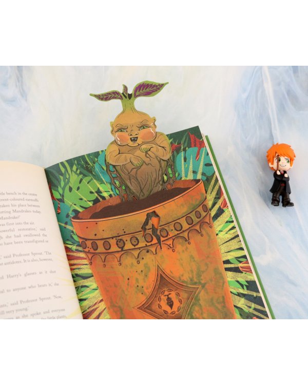 Harry Potter and the Chamber of Secrets