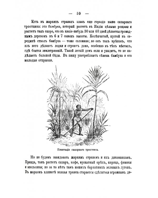 Детский мир и хрестоматия. Часть 2