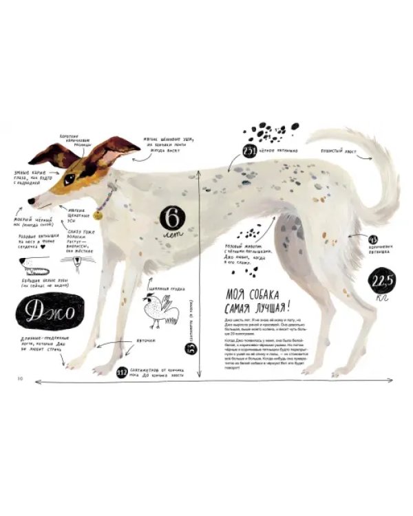 Твоя собака